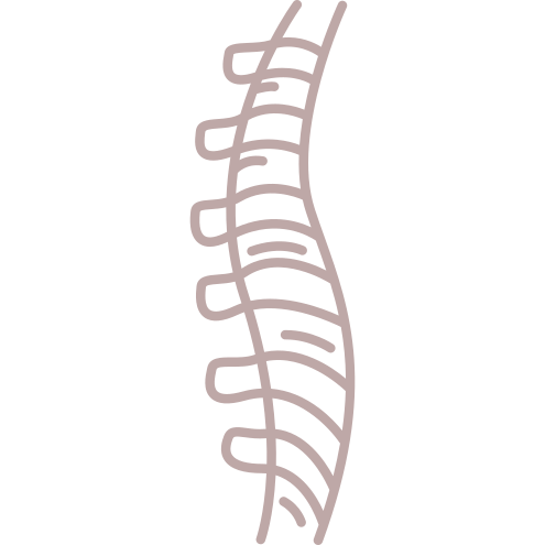 human-spine-peds